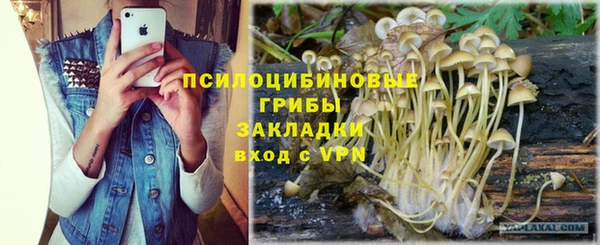 скорость Абаза
