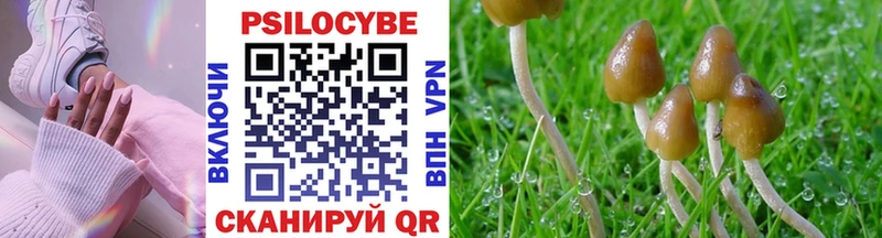 Псилоцибиновые грибы Magic Shrooms  mega сайт  Костомукша  цены наркотик 
